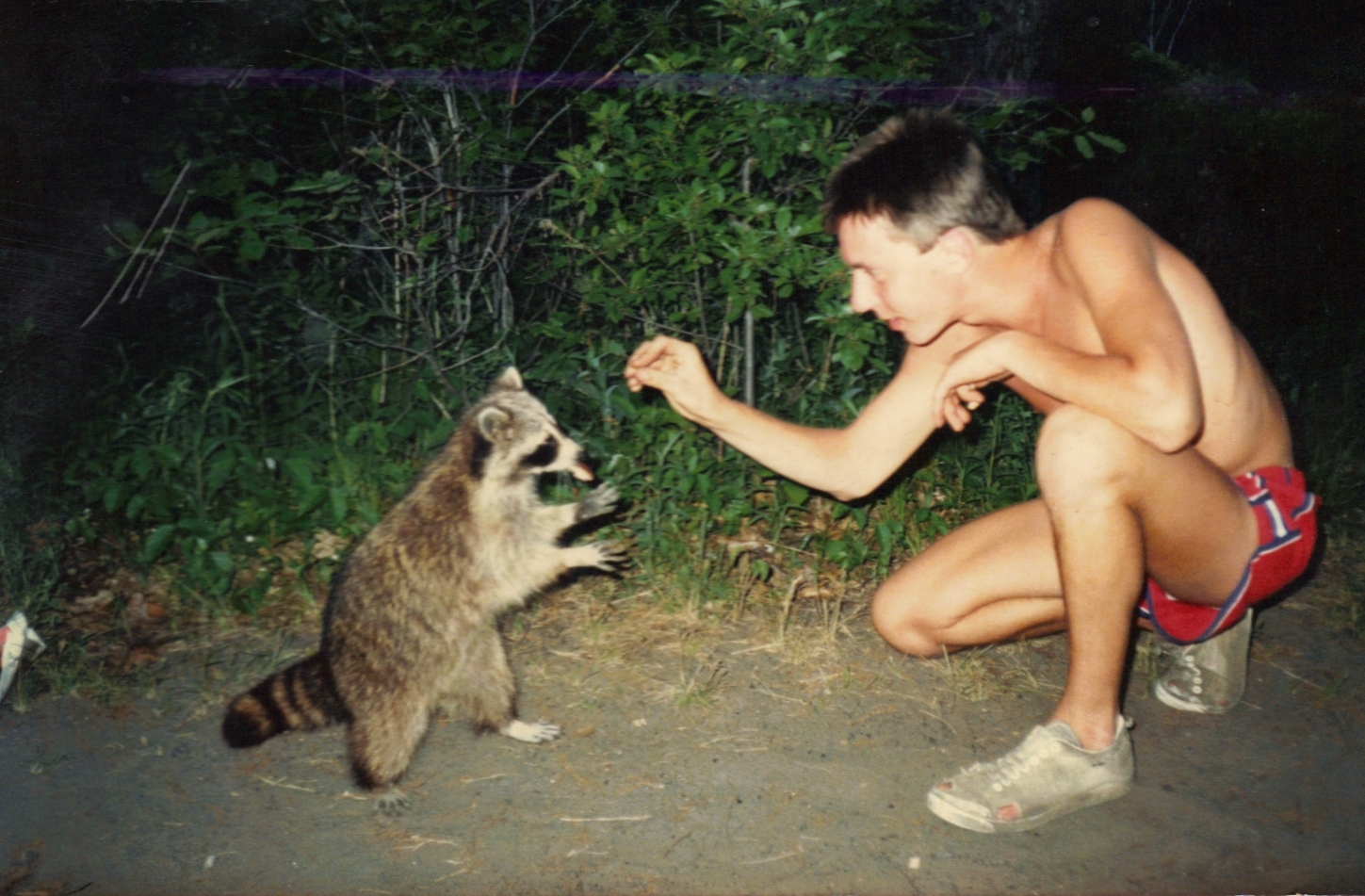 Ivan i racoon