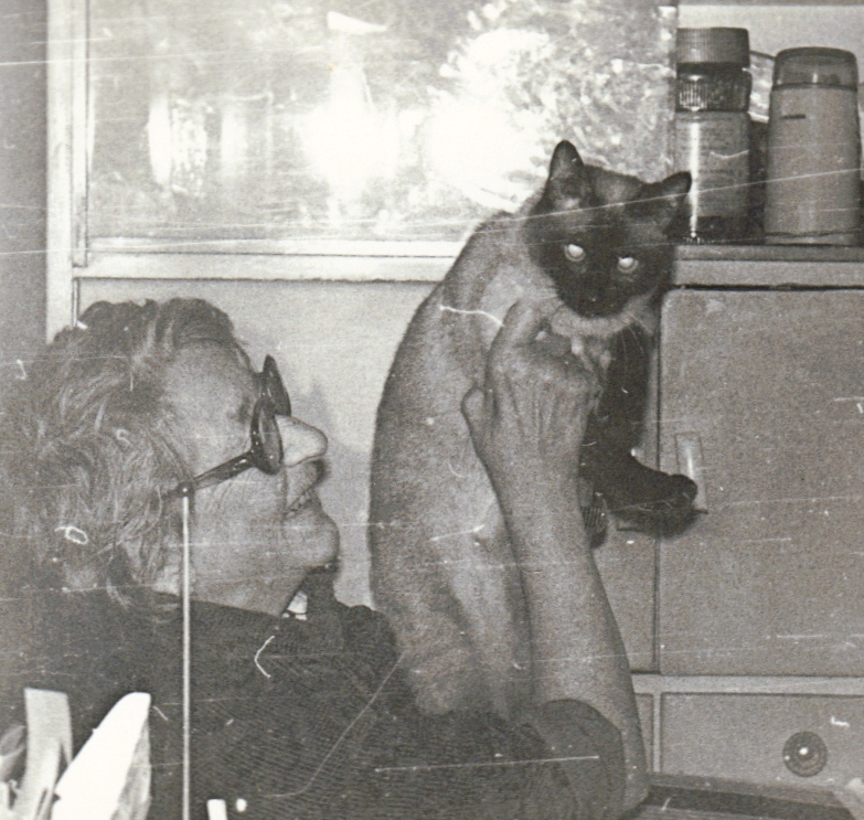NV i Lapa cat